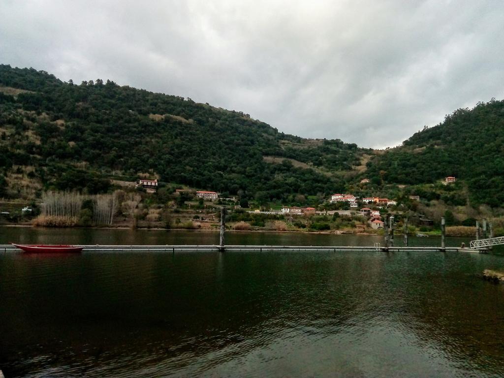 Douro Balcony Villa Ресенде Екстериор снимка