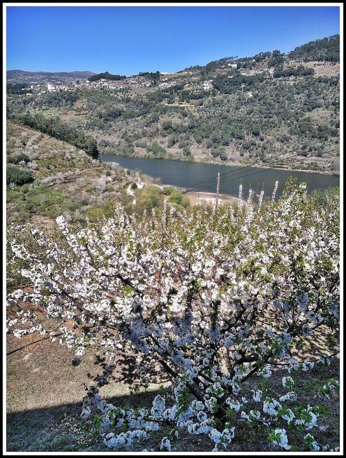 Douro Balcony Villa Ресенде Екстериор снимка