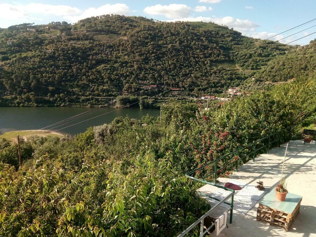 Douro Balcony Villa Ресенде Екстериор снимка